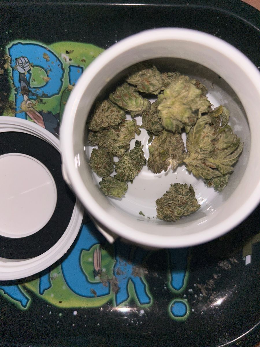 Sanctuary Medicinals : G. Glue
