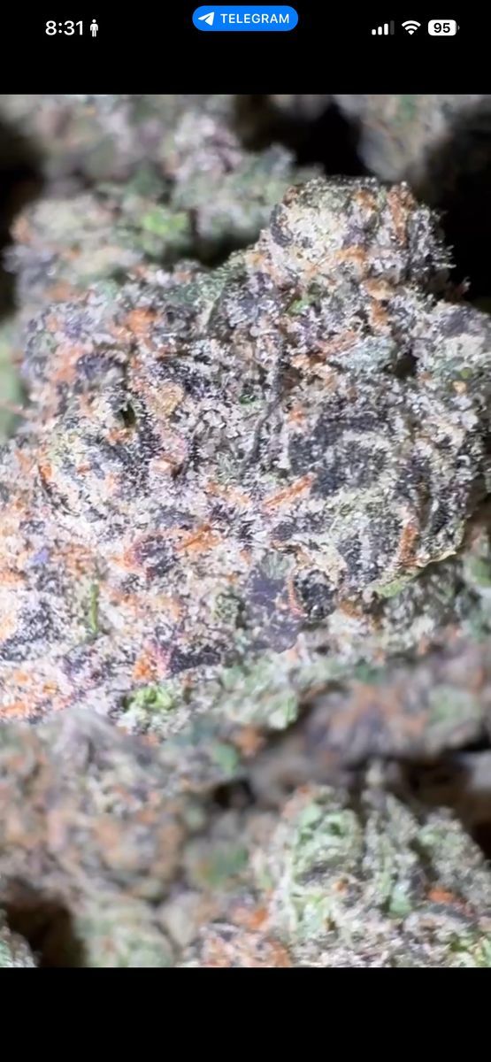 Blue Cherry Candy strain