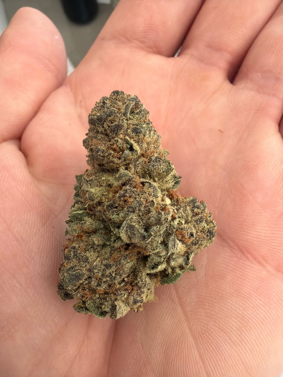 Island Sweet Skunk strain