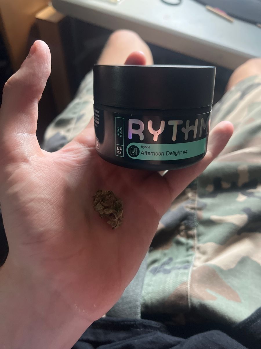 Afternoon Delight #4 strain