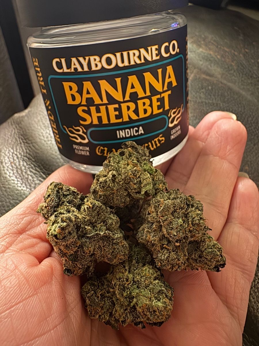 Banana Sherbet strain