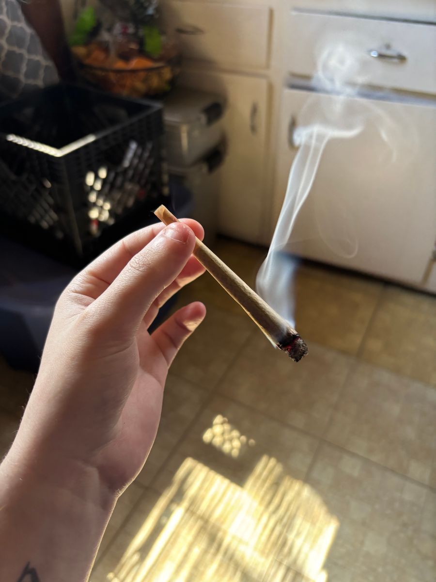 Macrib strain