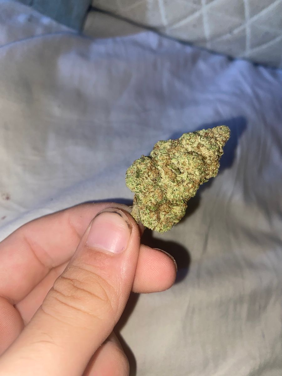 Green Bandit Blackberry Gelato