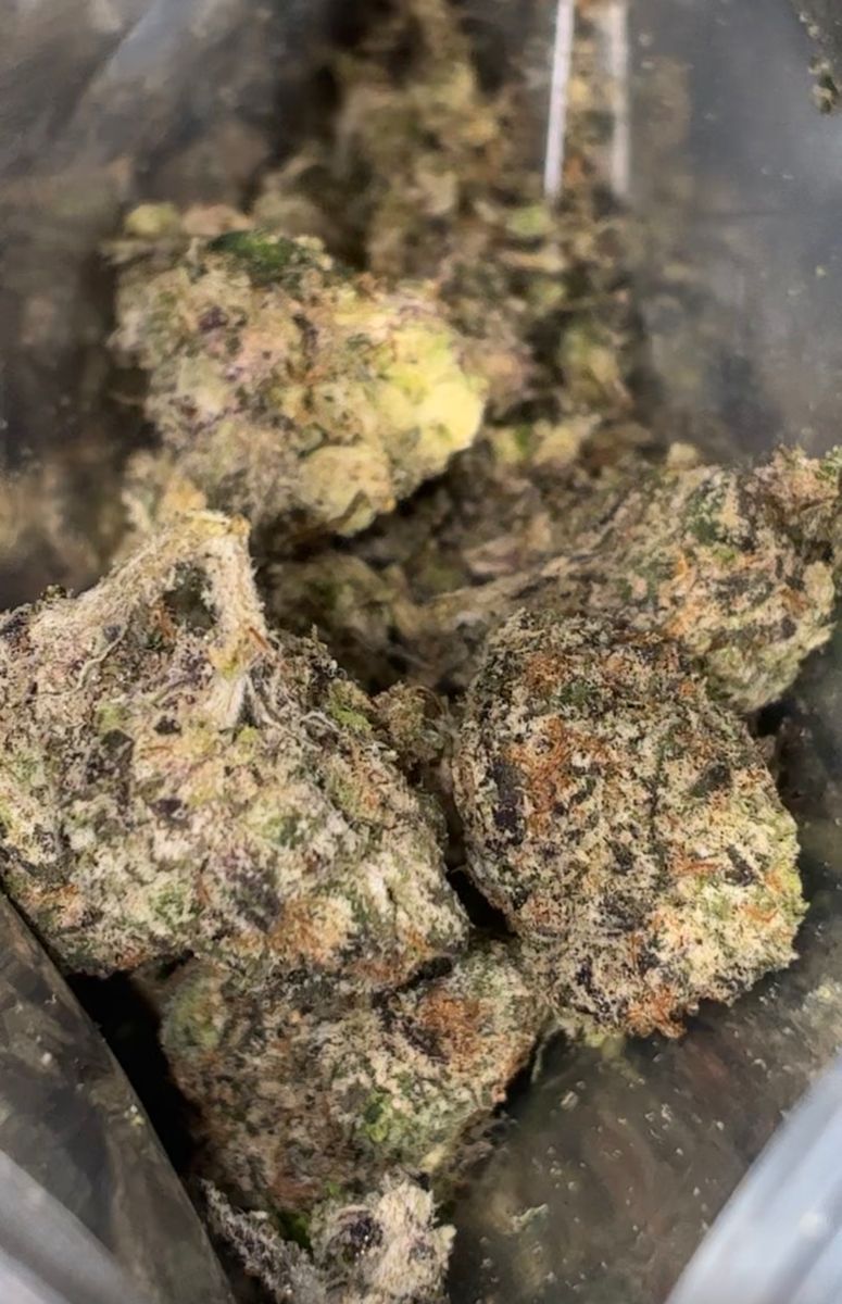Cookies Gelato Punch