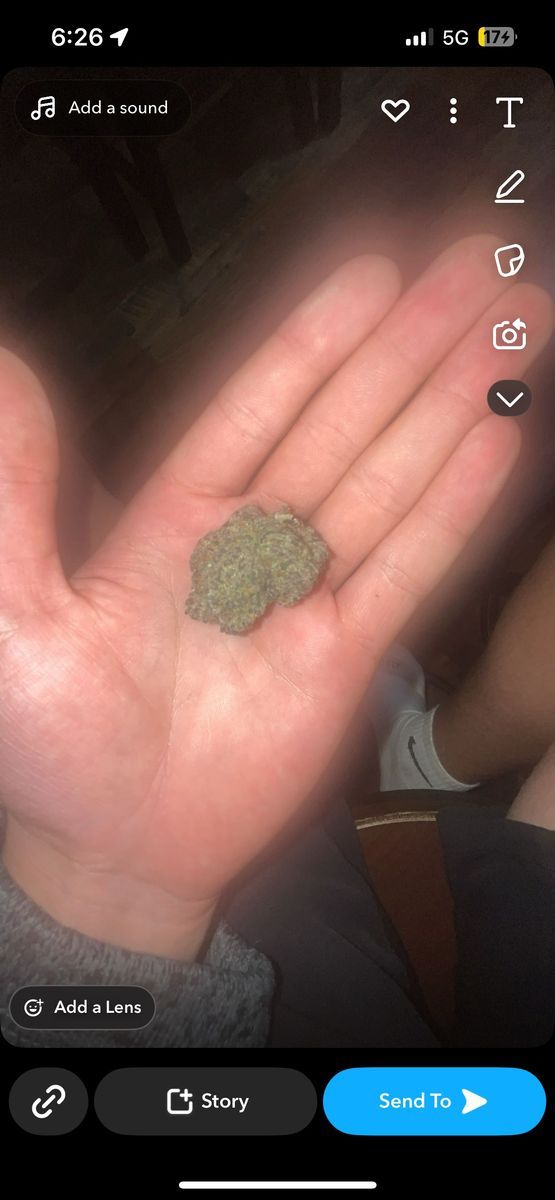 Tamalez strain