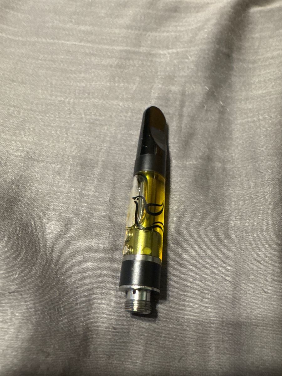 Skywalker strain