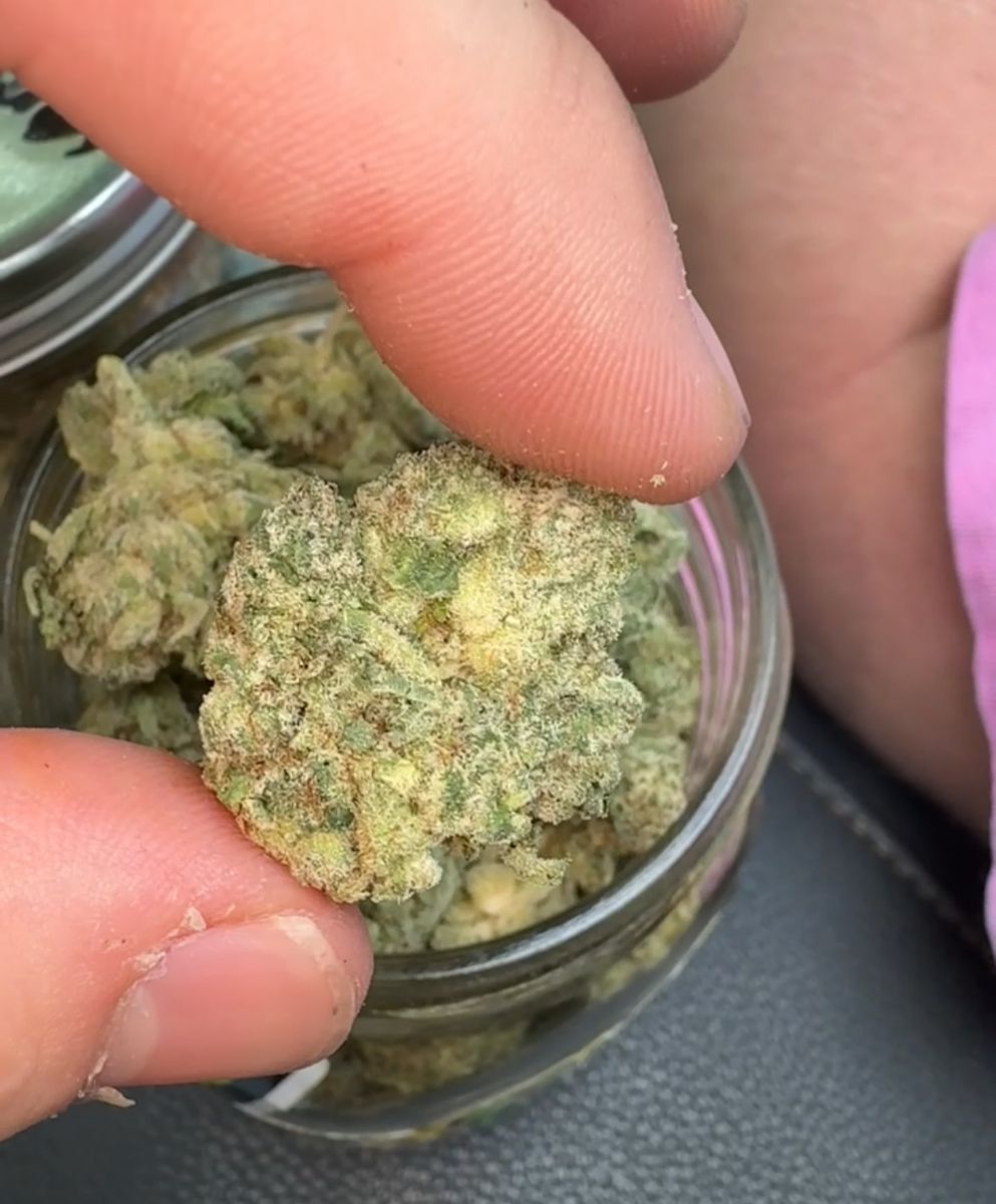 Paul Hills Grill Gorilla Glue Gg4