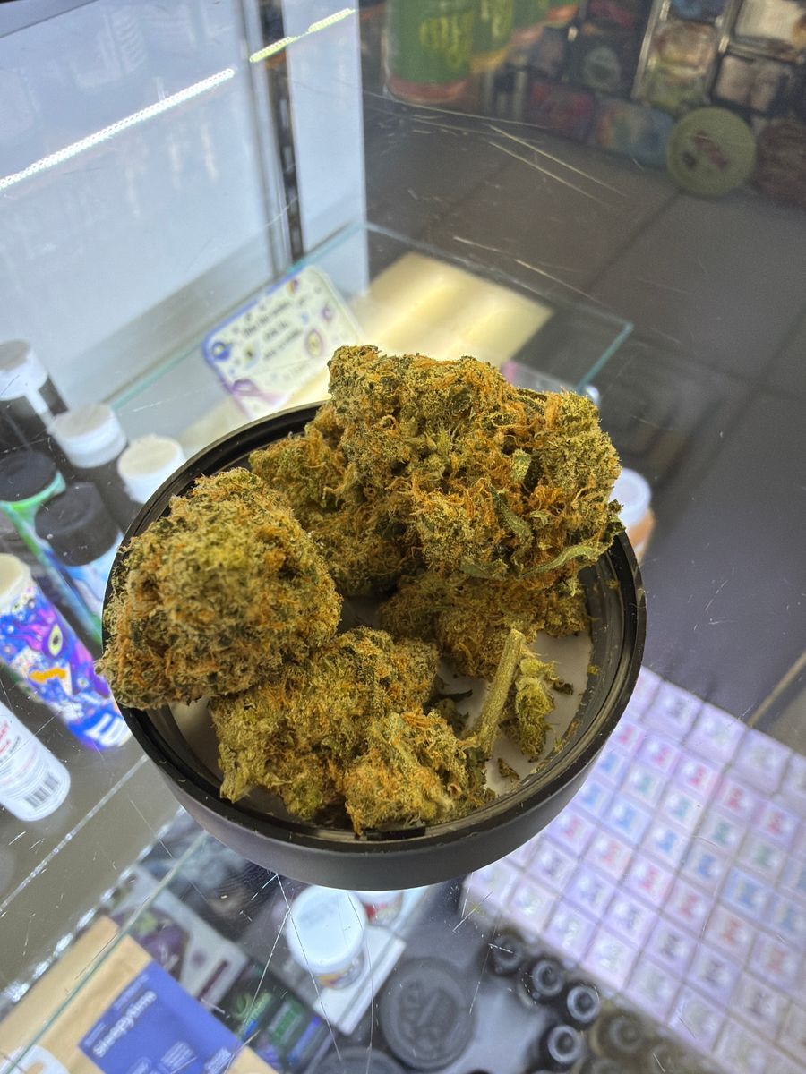 Jack Frosty strain
