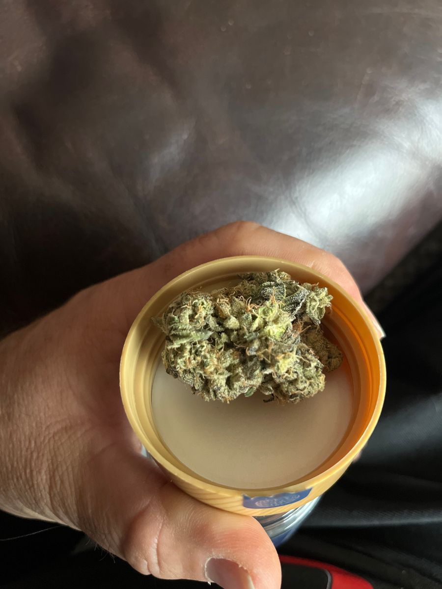 Cam: Kush Mints