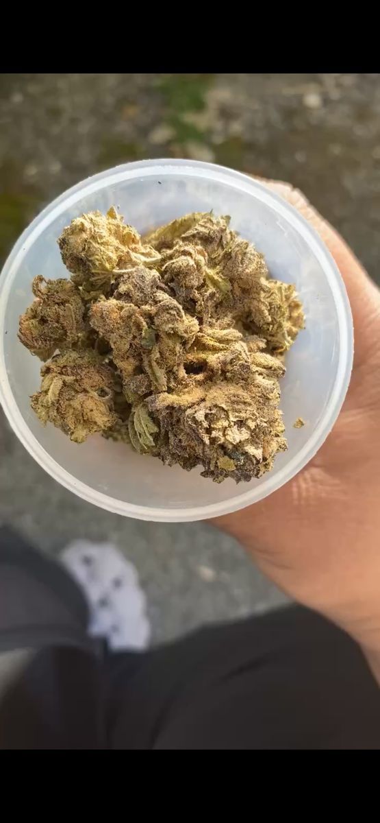 Gas Boys Pie Hoe