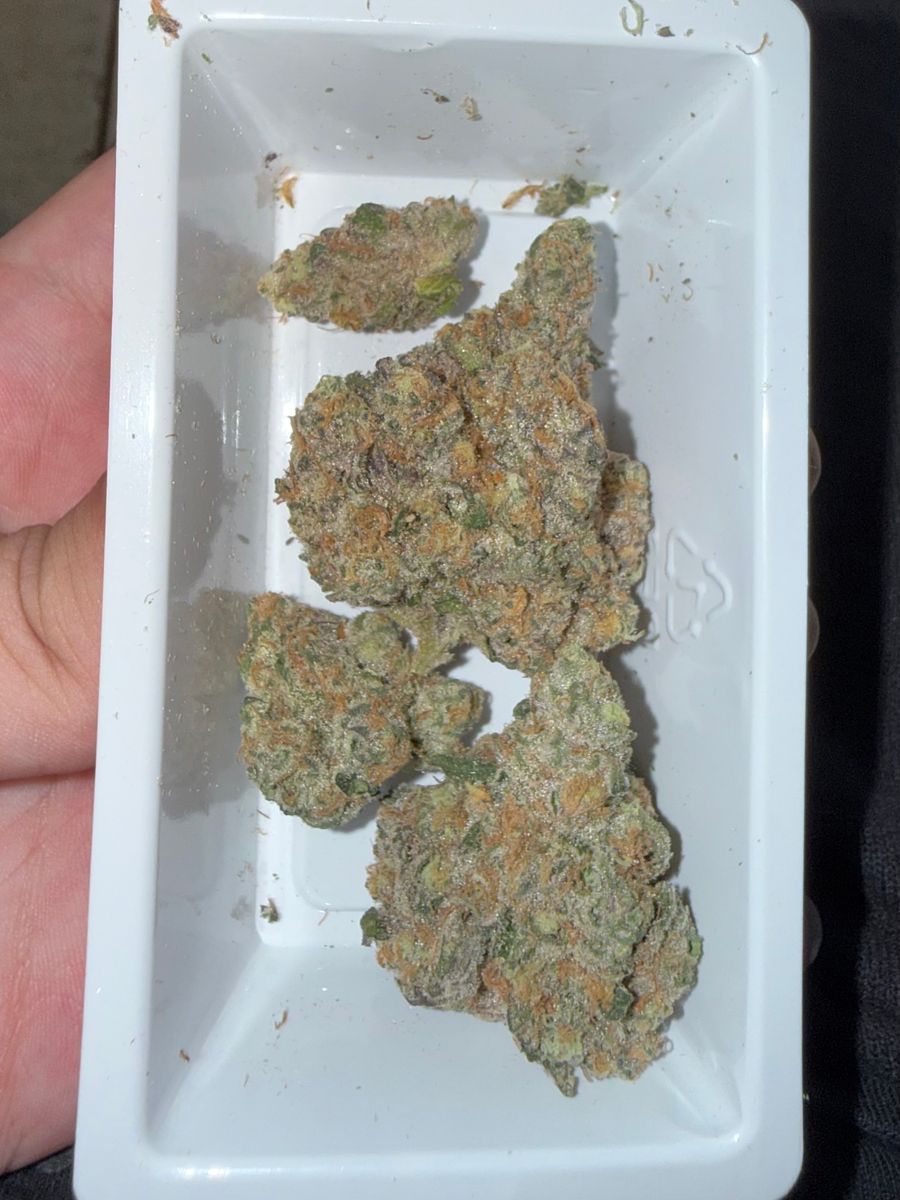 Ideal Cannabis Divine Banana