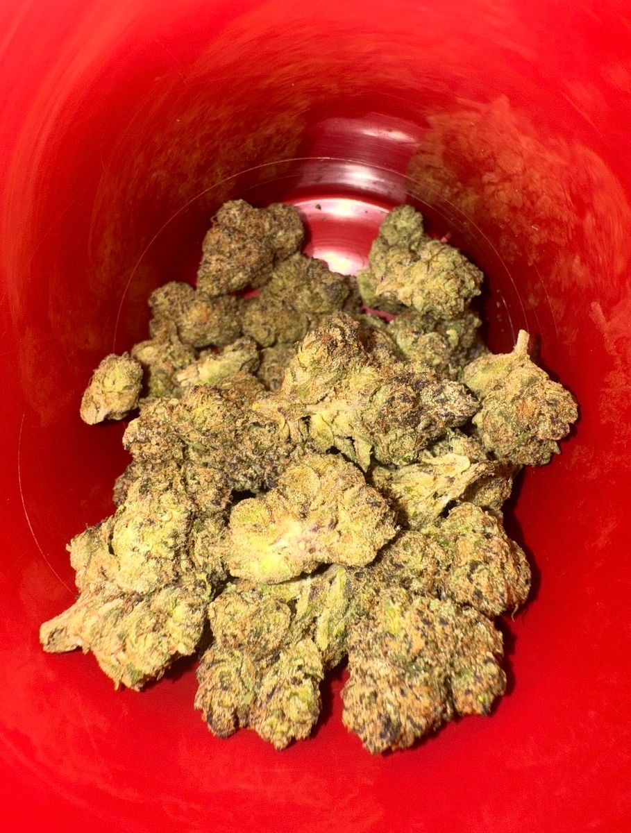 Jungle Boys Garlic Breath