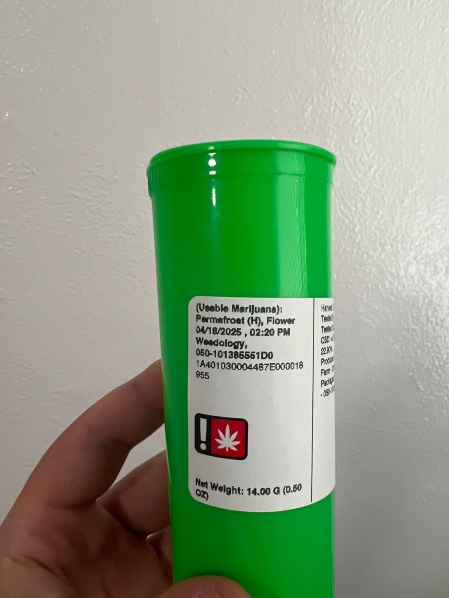 Permafrost strain