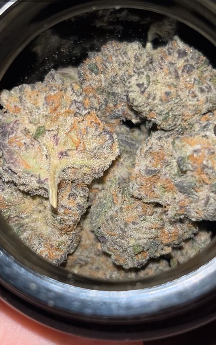 Garlic Icing strain