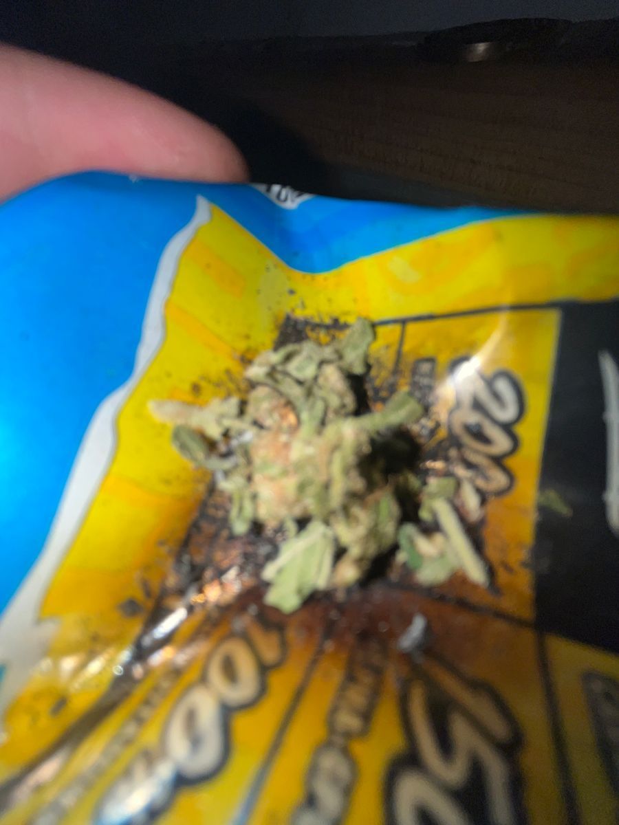 G. Glue strain