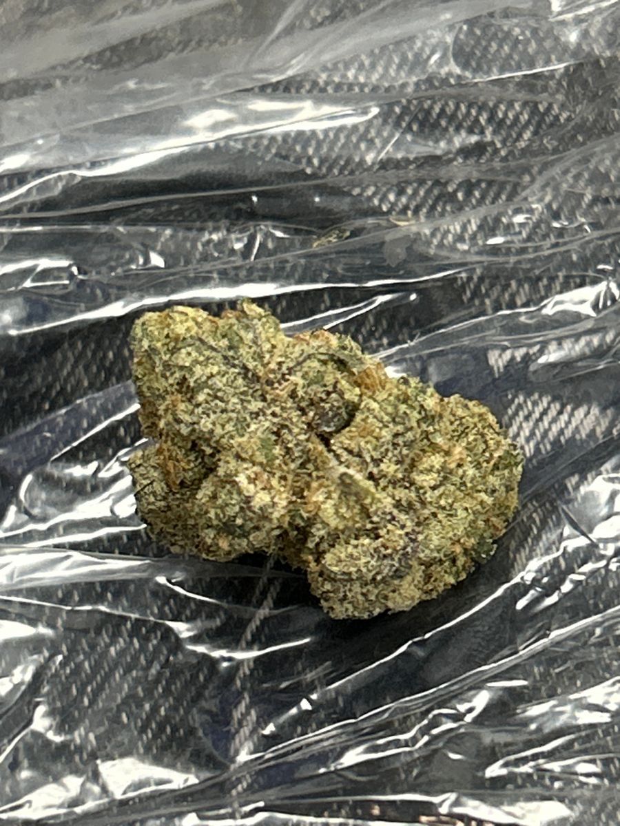 Headband X Great White Shark strain