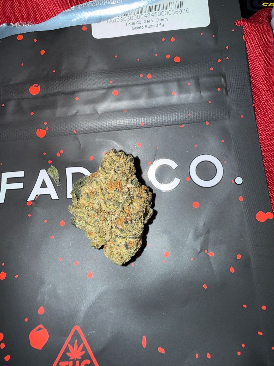 Fade Co: Garlic Cherry Gelato