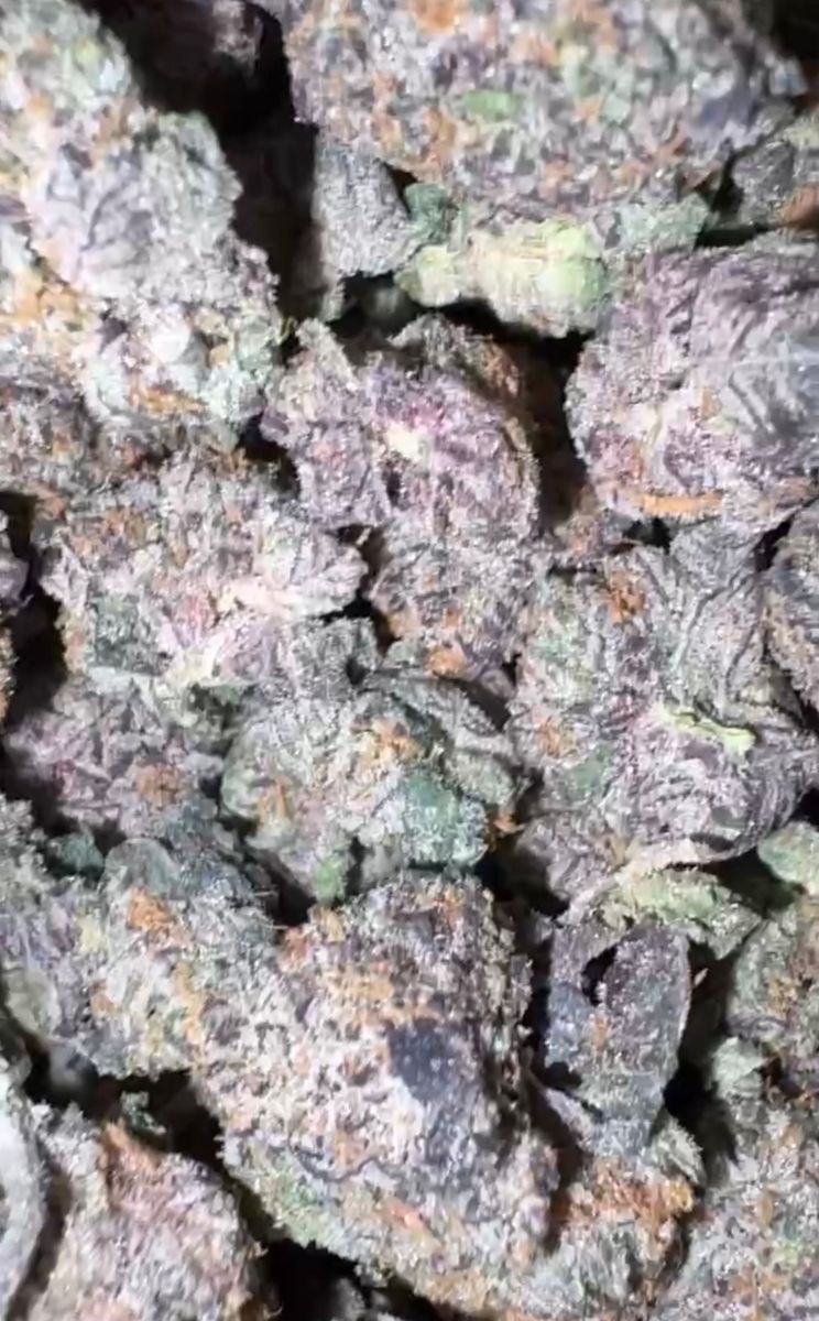 Mine Huckleberry