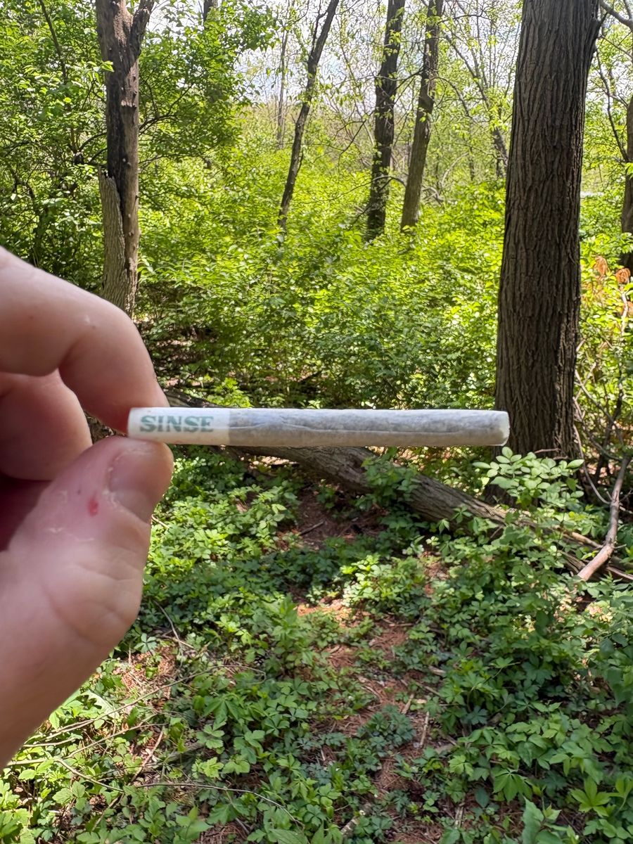 Durban Wedding strain