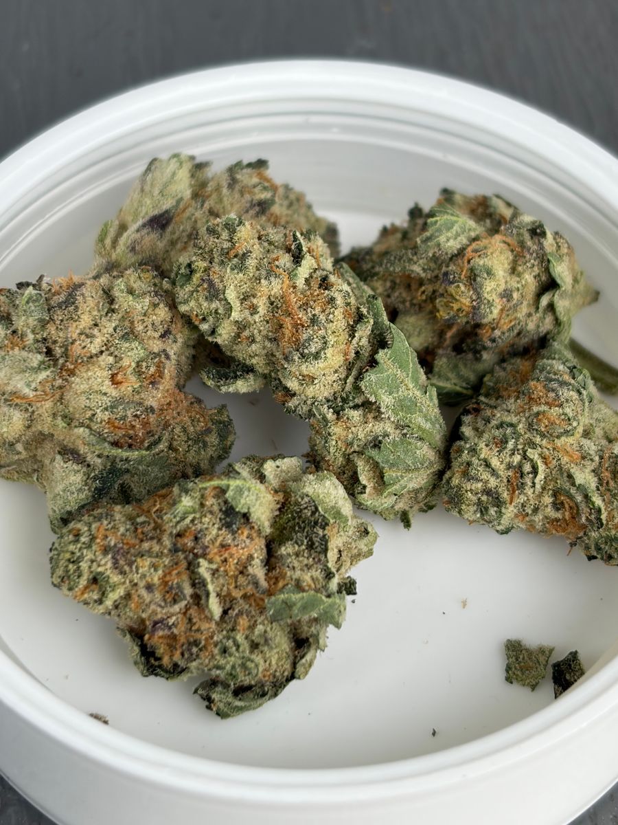 Sanctuary Medicinals Zoap