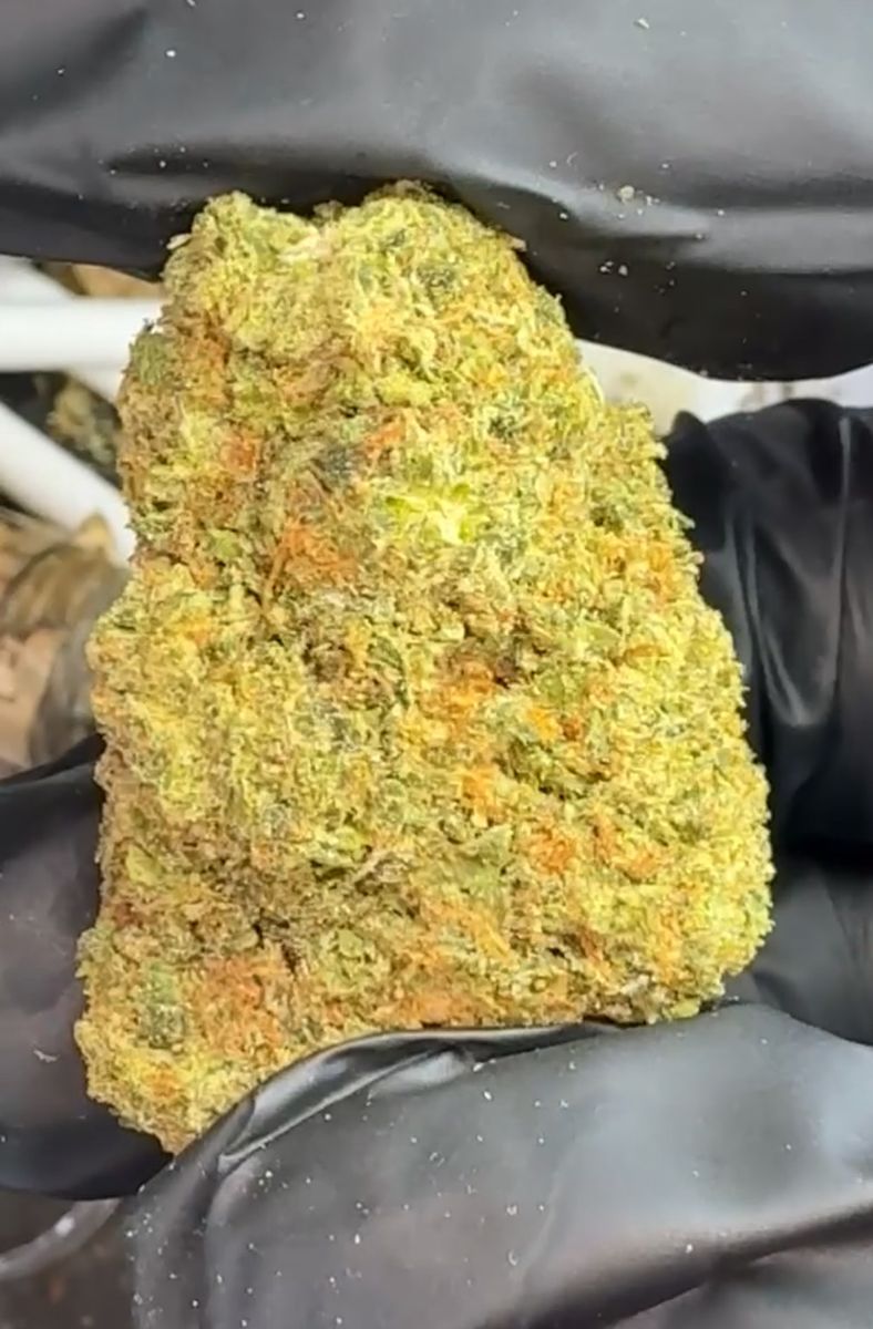 Paul Hills Grill Gelato 41