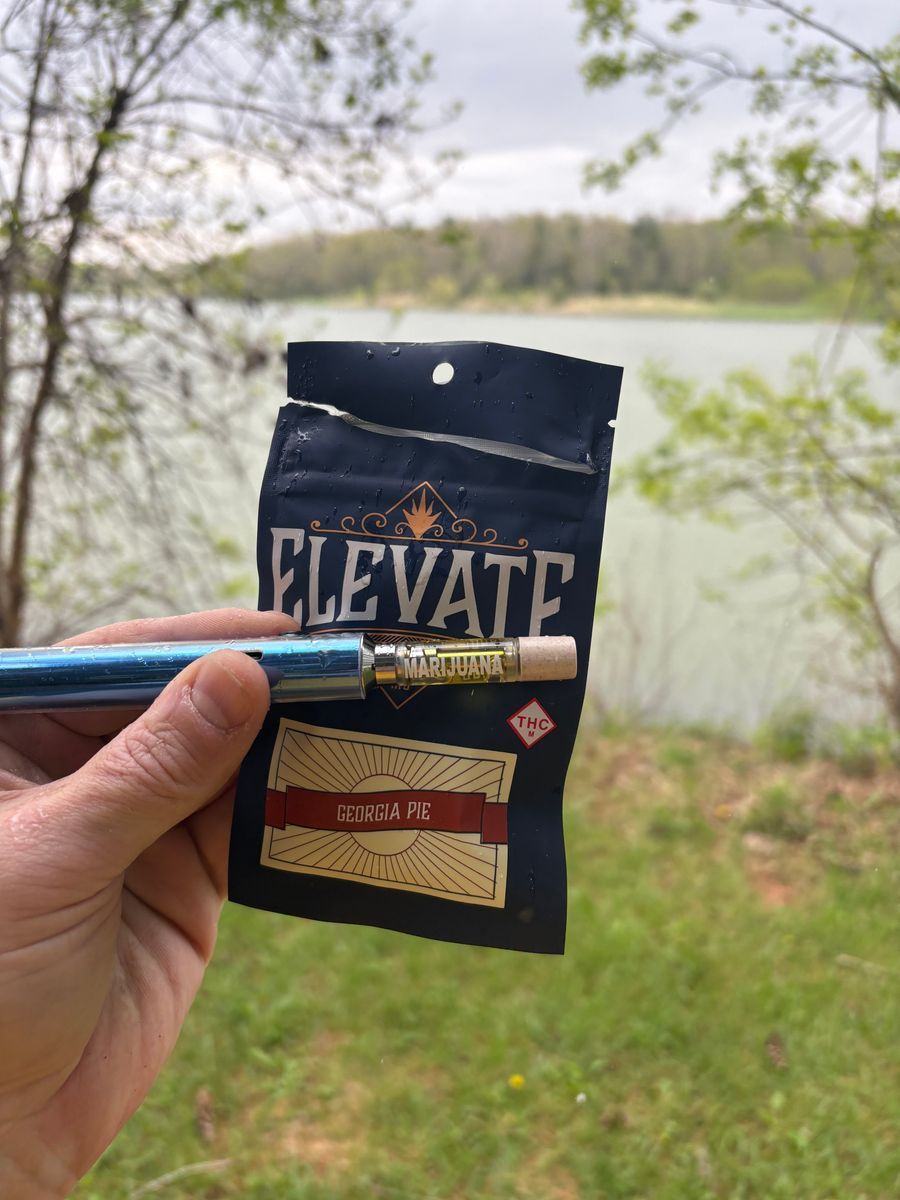 Georgia Pie strain
