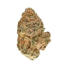 Redecan Animal Rntz