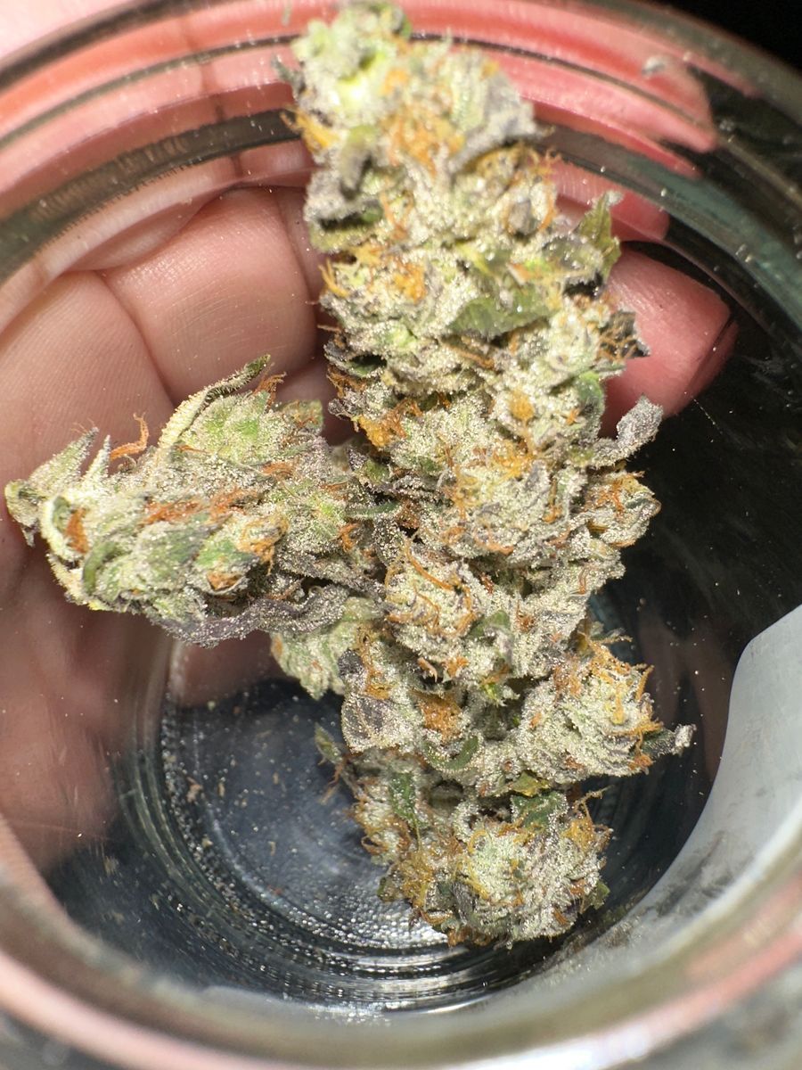 Rocket Cannabis brand