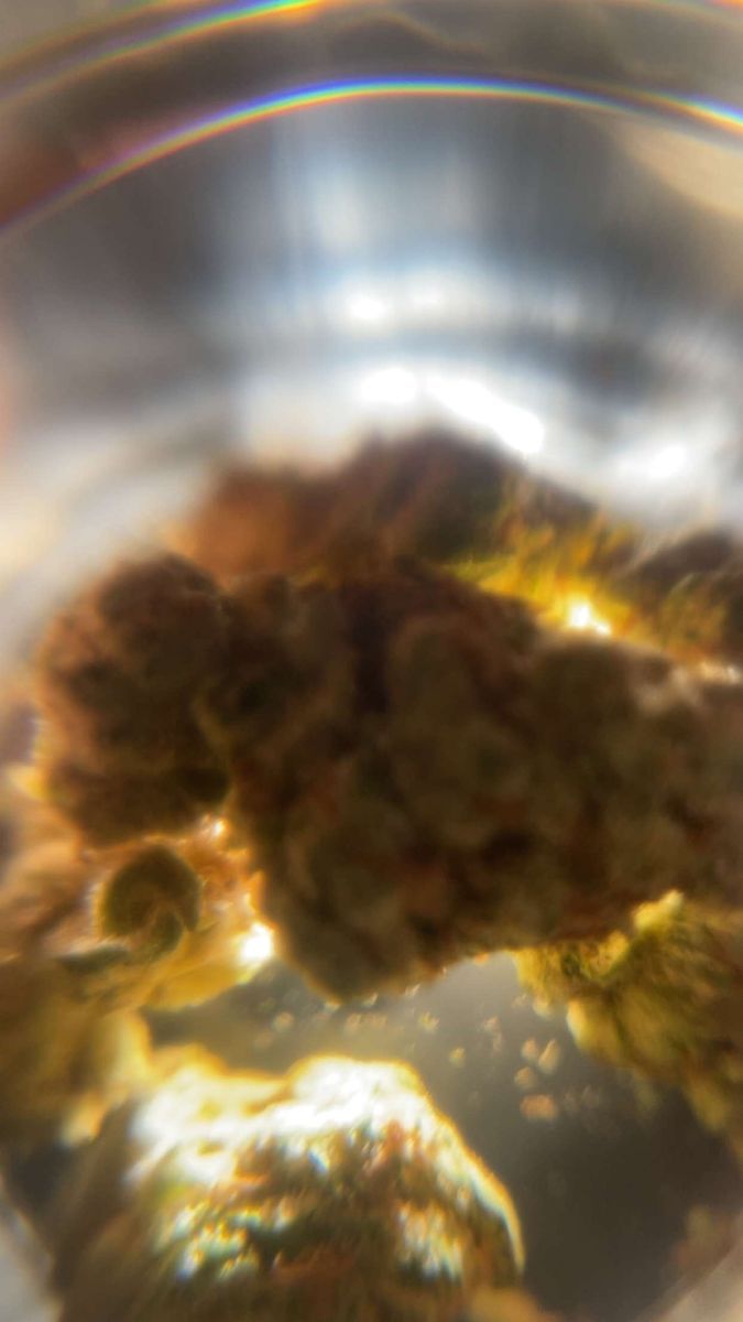 Yada Yada Grand Daddy Purp