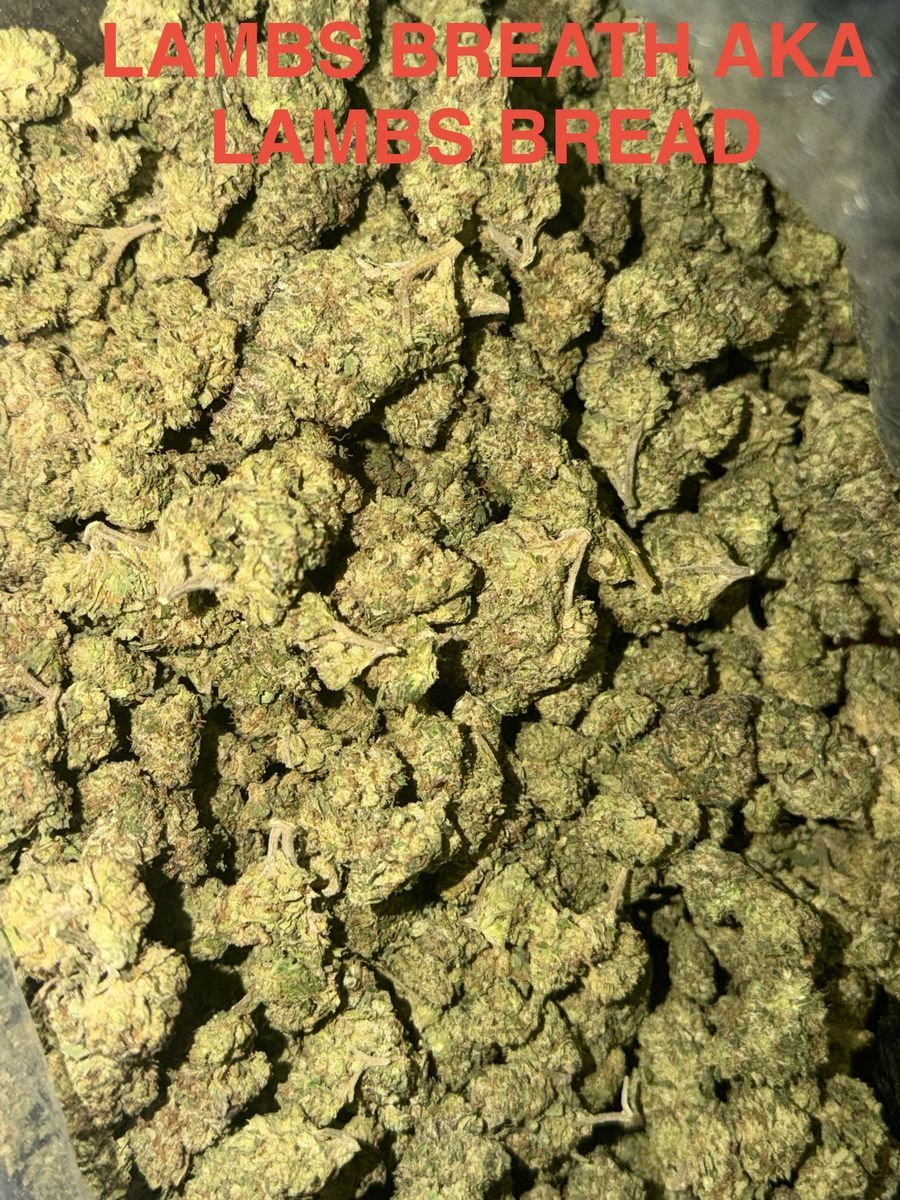 Leafy Lamb’s Bread