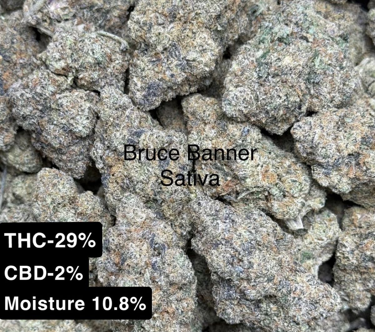Bruce Banner strain