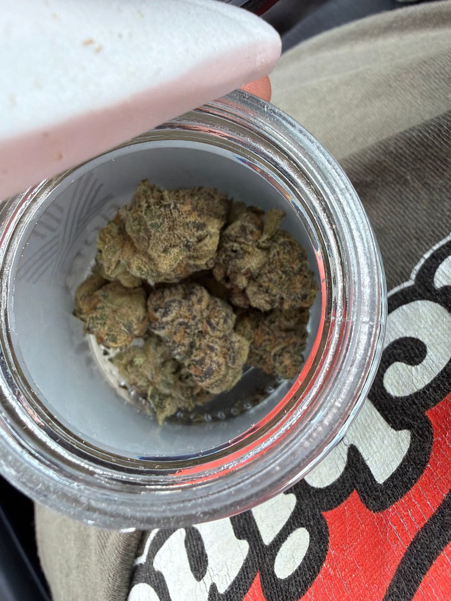 Flora Arbor Grand Master Sexy
