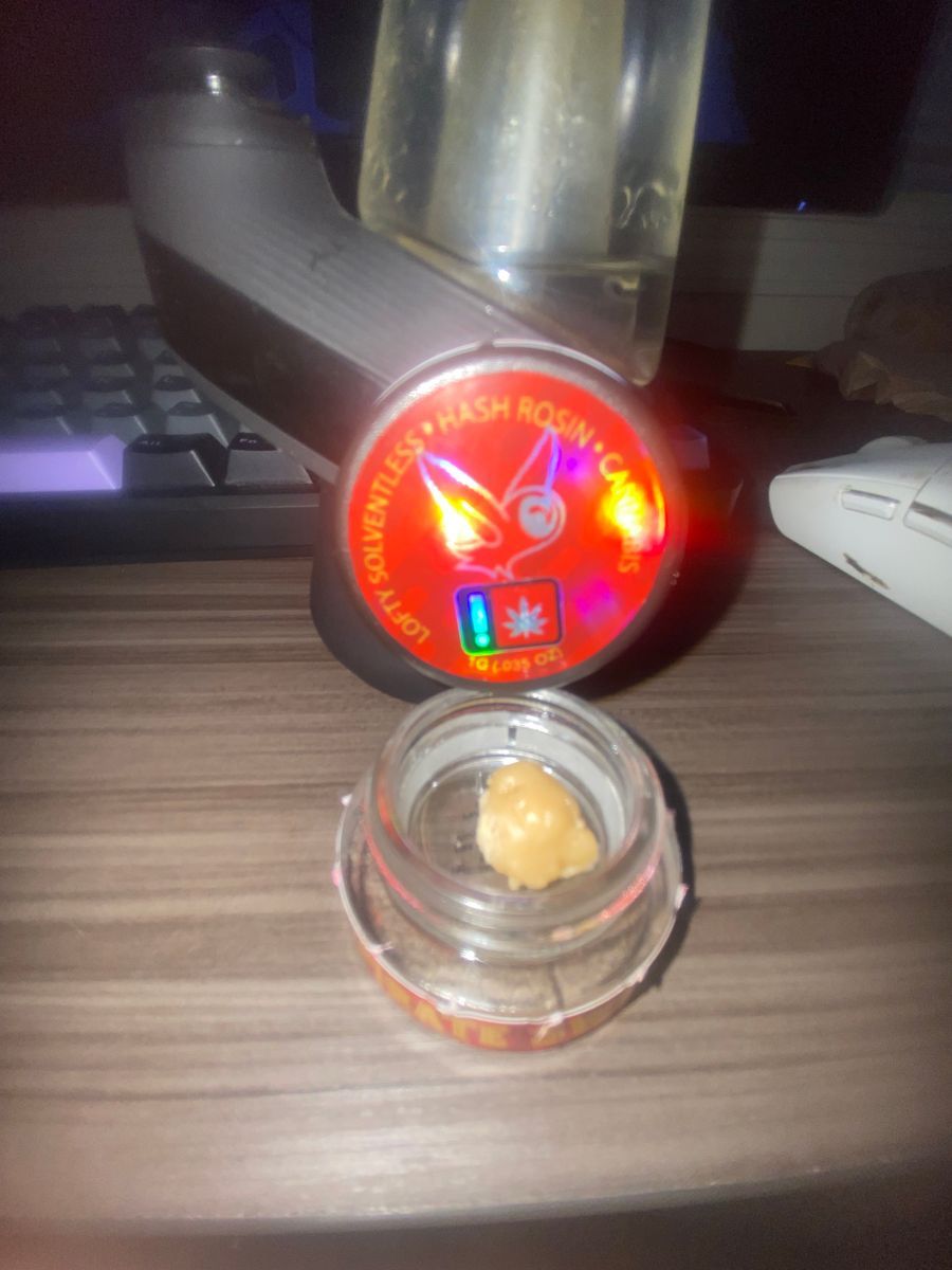 Lofty Pirate Sweat - Live Hash Rosin