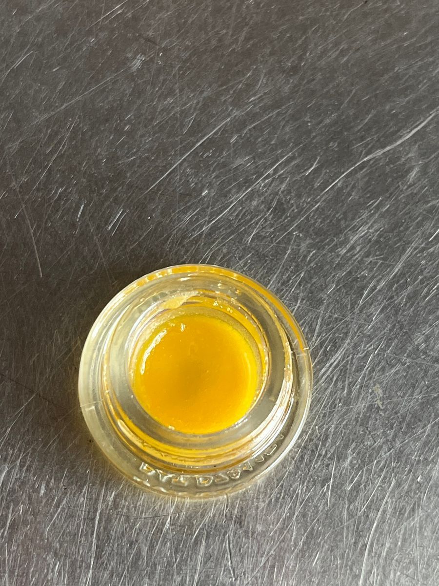 Blueberry Cookies strain