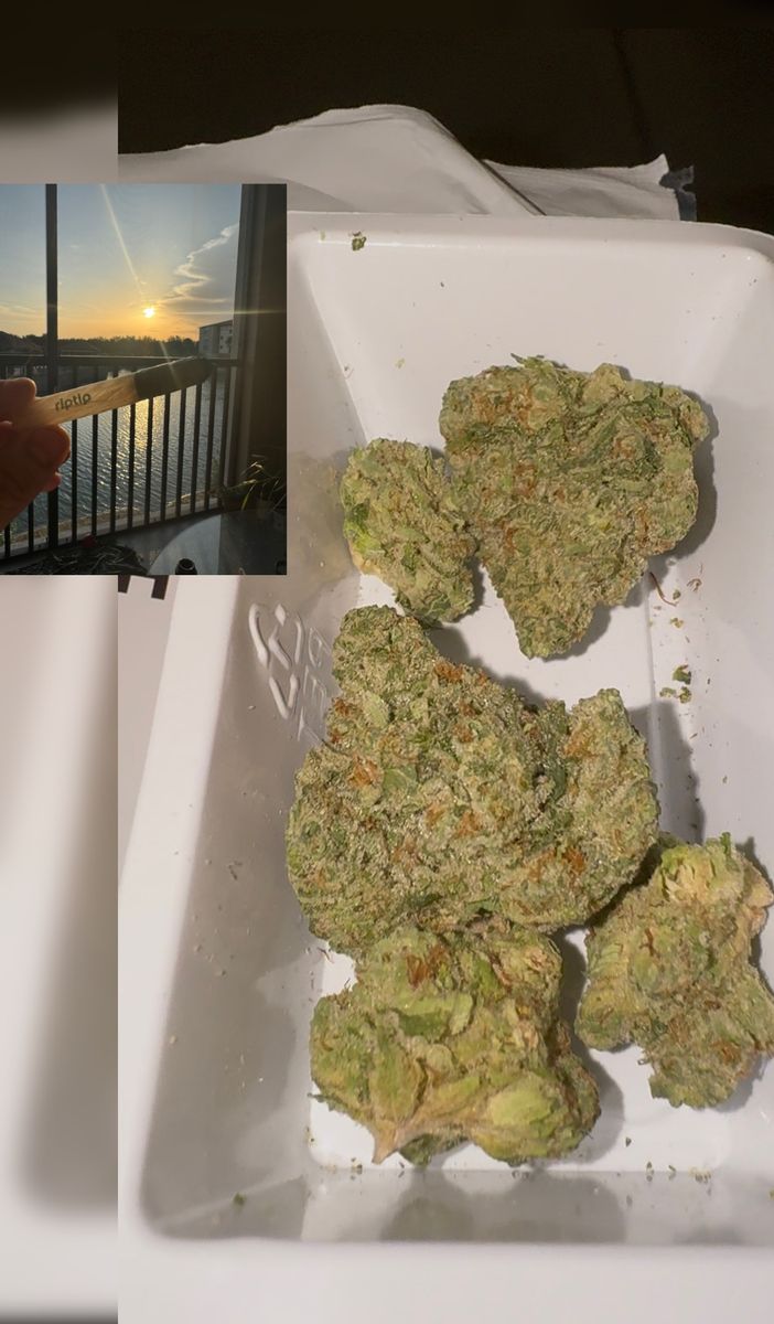 Wet P strain