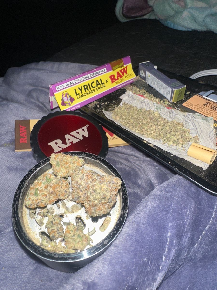 Maine Trees Secret Cookies X The Astronaut