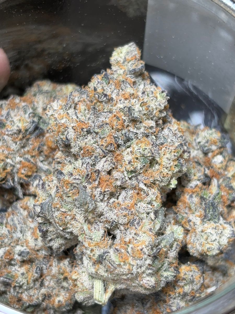 Gas Face strain