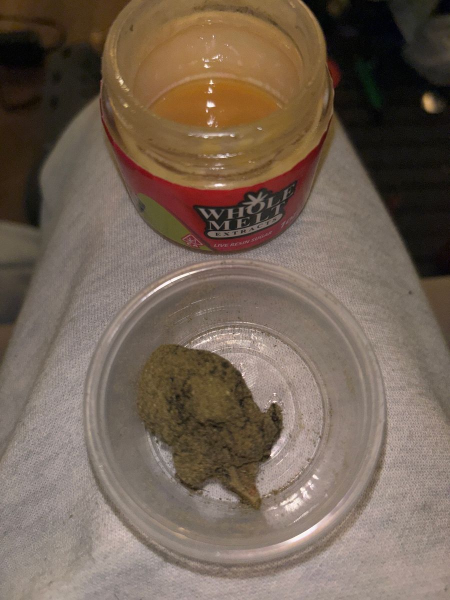 Coco Moon Rocks