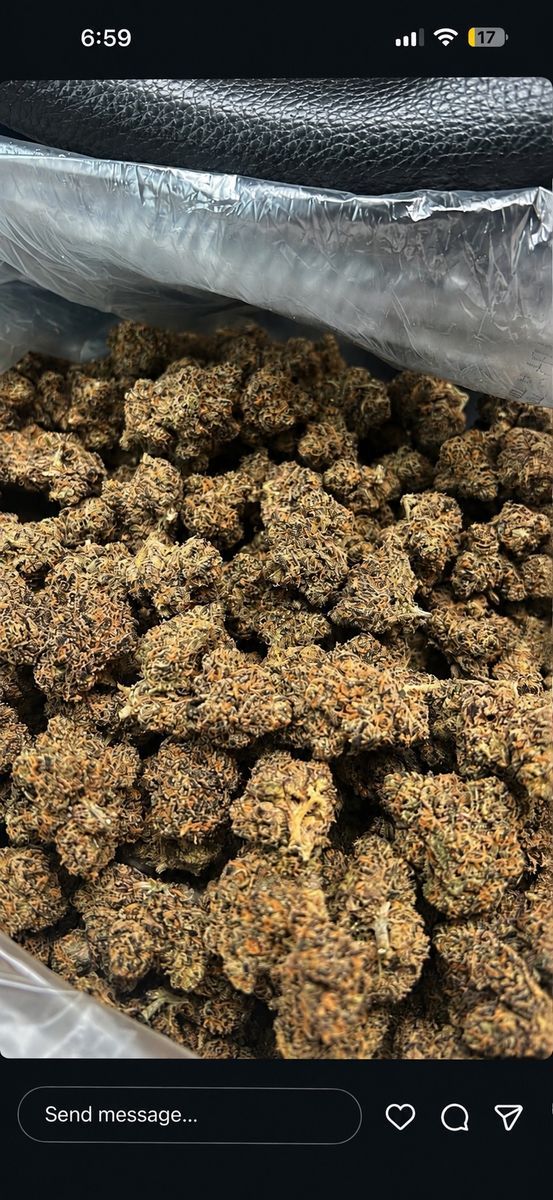 Gorilla Happy Hits Indica Hybrid