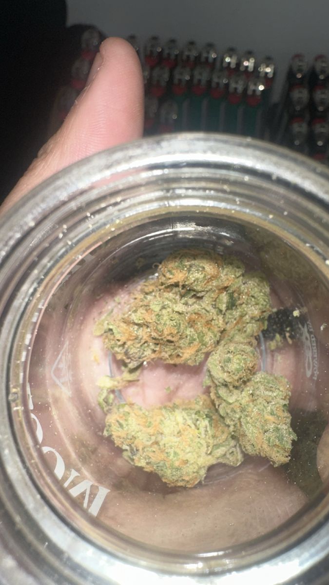 Cbx - Cannabiotix Orange Crush