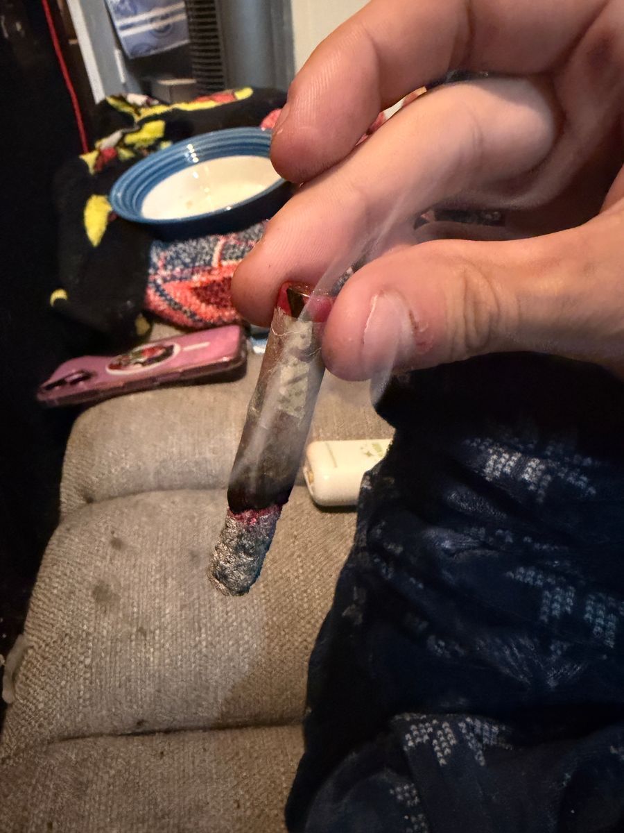 Im Rollin It Sweet Sherbert