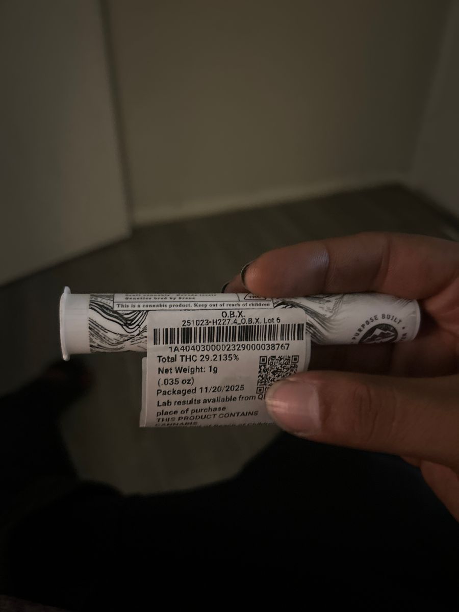 O.B.X strain