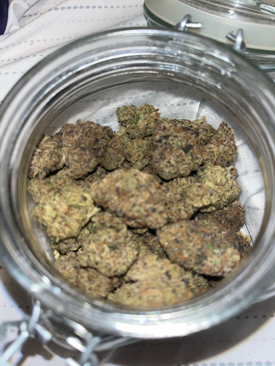 Wizard Trees Purple Cadillac