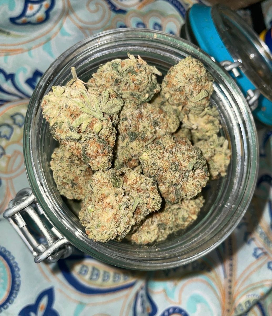 Gas-O-Lina strain
