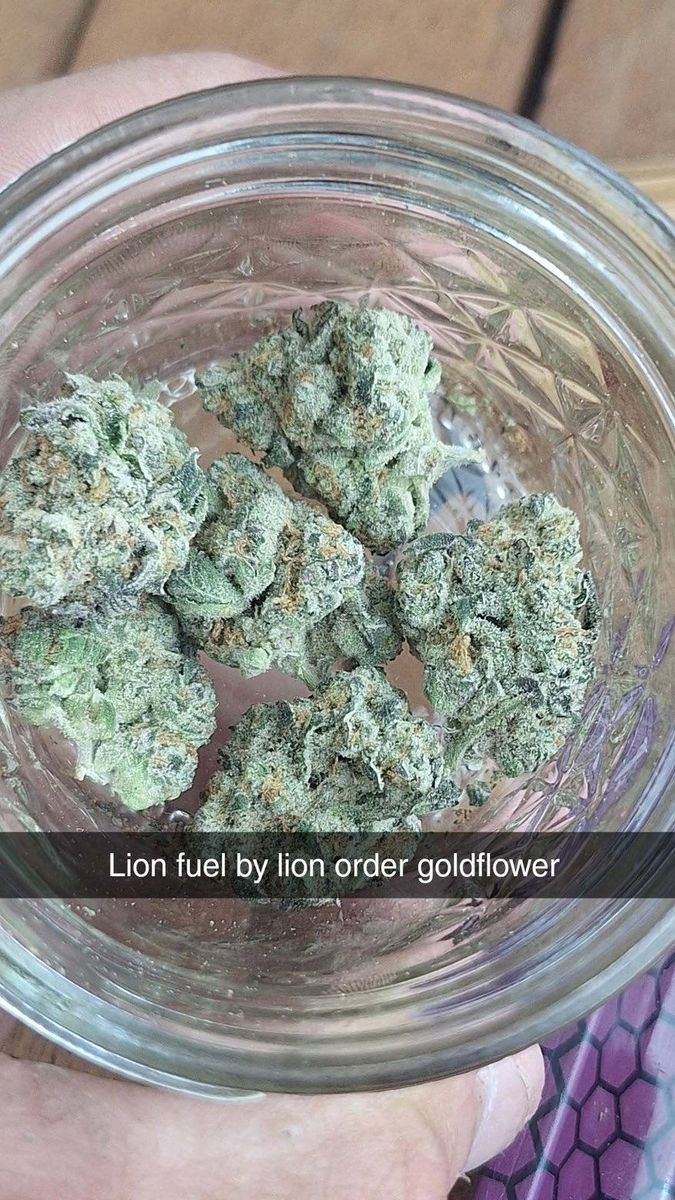 Lion Order/Gold Flower: Lion Fuel