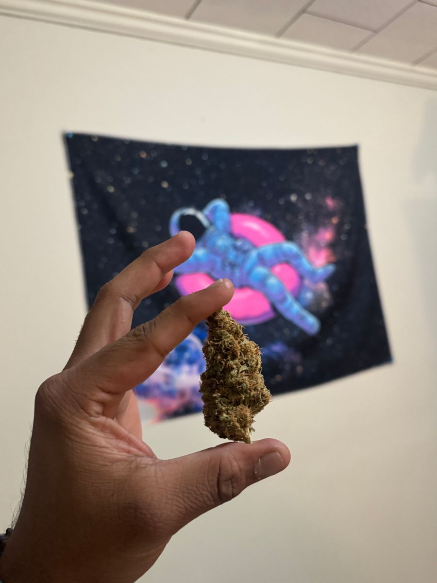 Sage And Sour strain