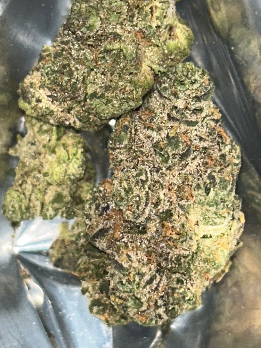 Purple Alien strain