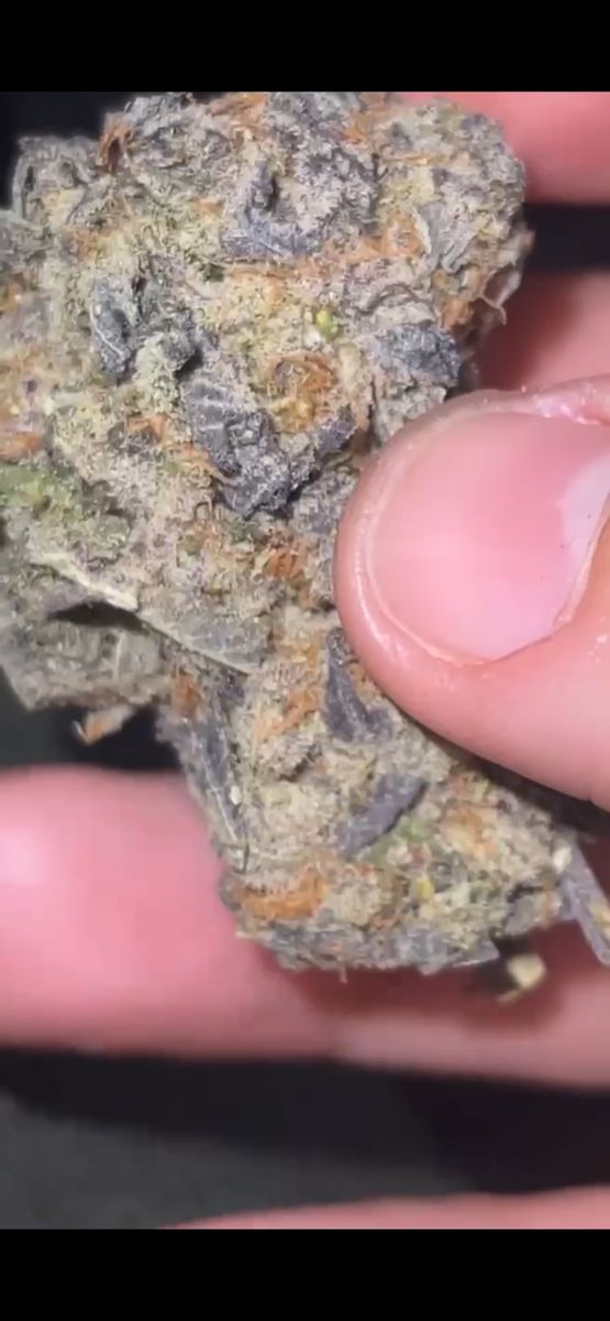 Gas Station Papaya