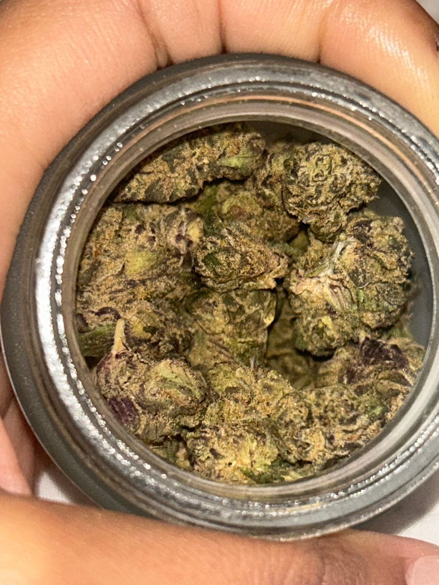 Lemon Cherry Gelato strain