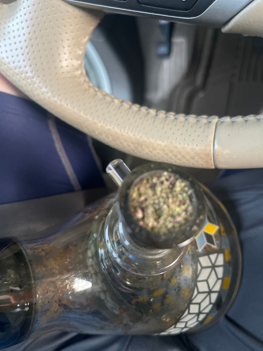 Mango Mentality strain